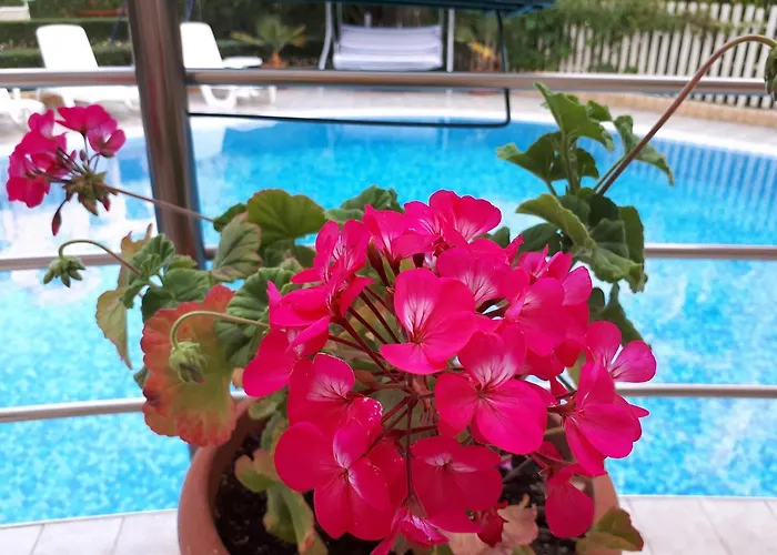 Lejlighedshotel Aquaria 4*