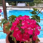 Aparthotel Aquaria 4*