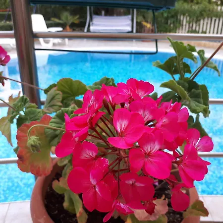 Апартхотел Aquaria 4*